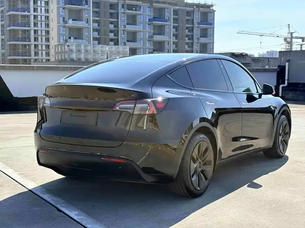 Tesla Model Y — фото 2