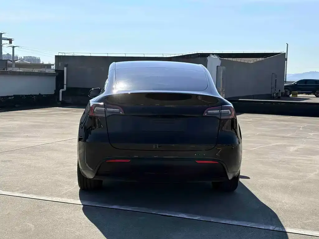 Tesla Model Y — фото 5