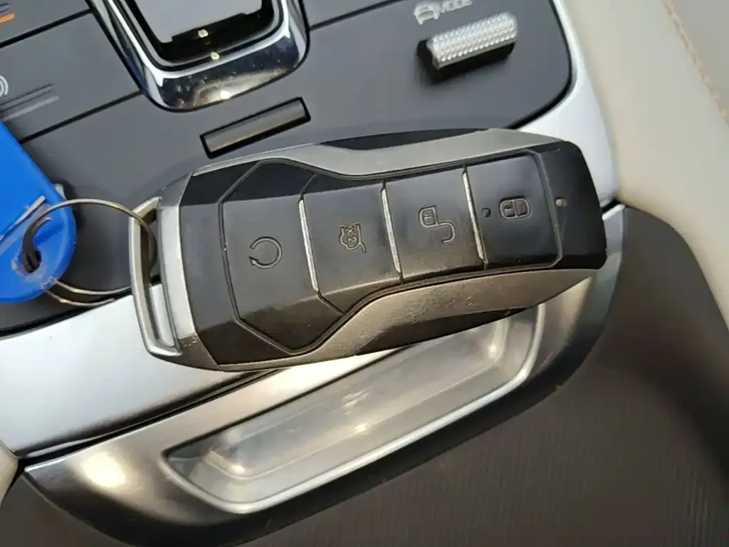 BYD PLUS New Energy — фото 4