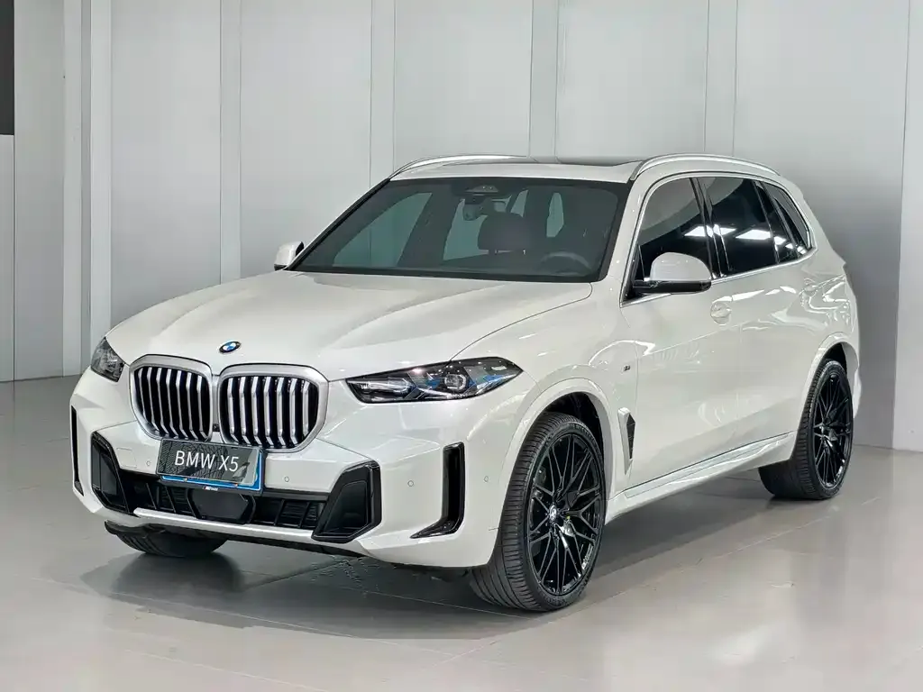 BMW X5 — фото 1