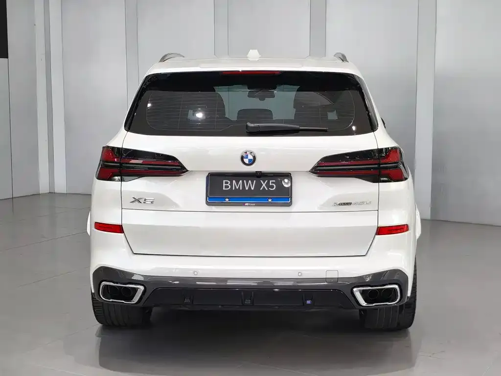 BMW X5 — фото 10