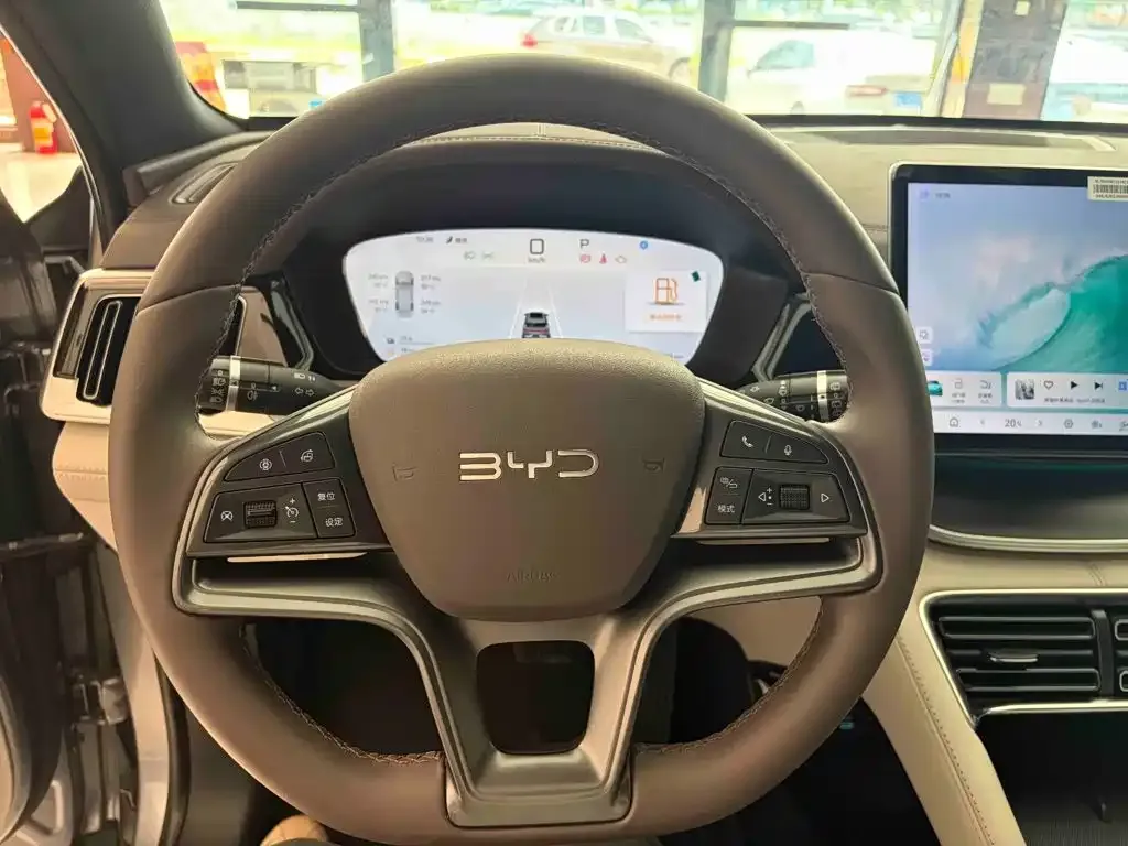 BYD PLUS New Energy — фото 5