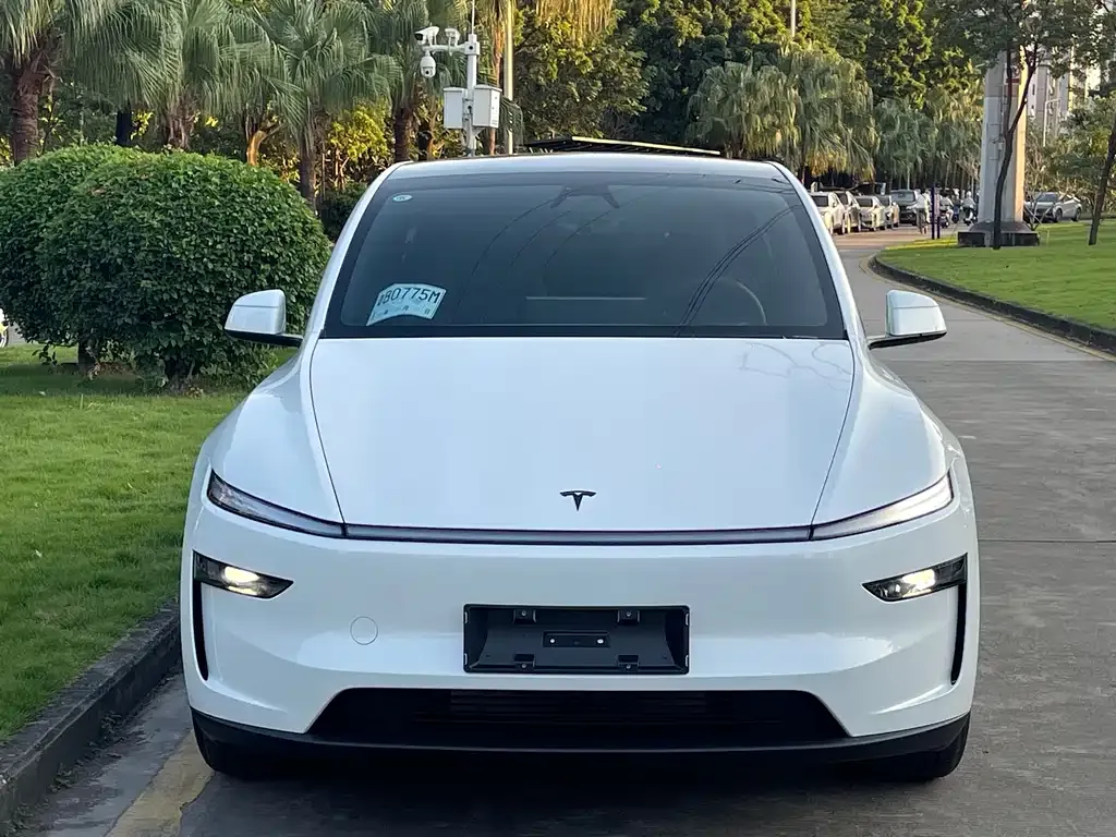 Tesla Model Y — фото 9