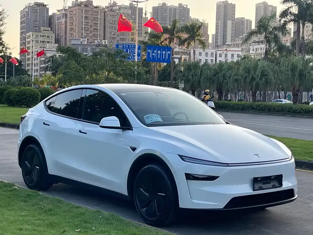 Tesla Model Y — фото 7