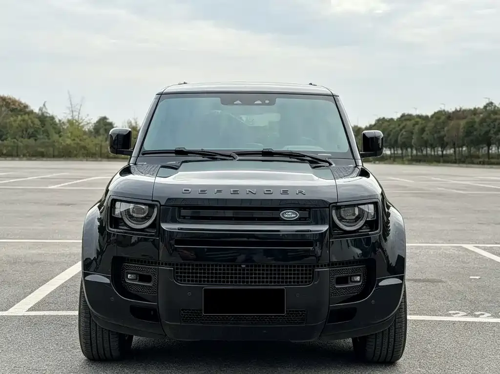 Land Rover Defender — фото 9