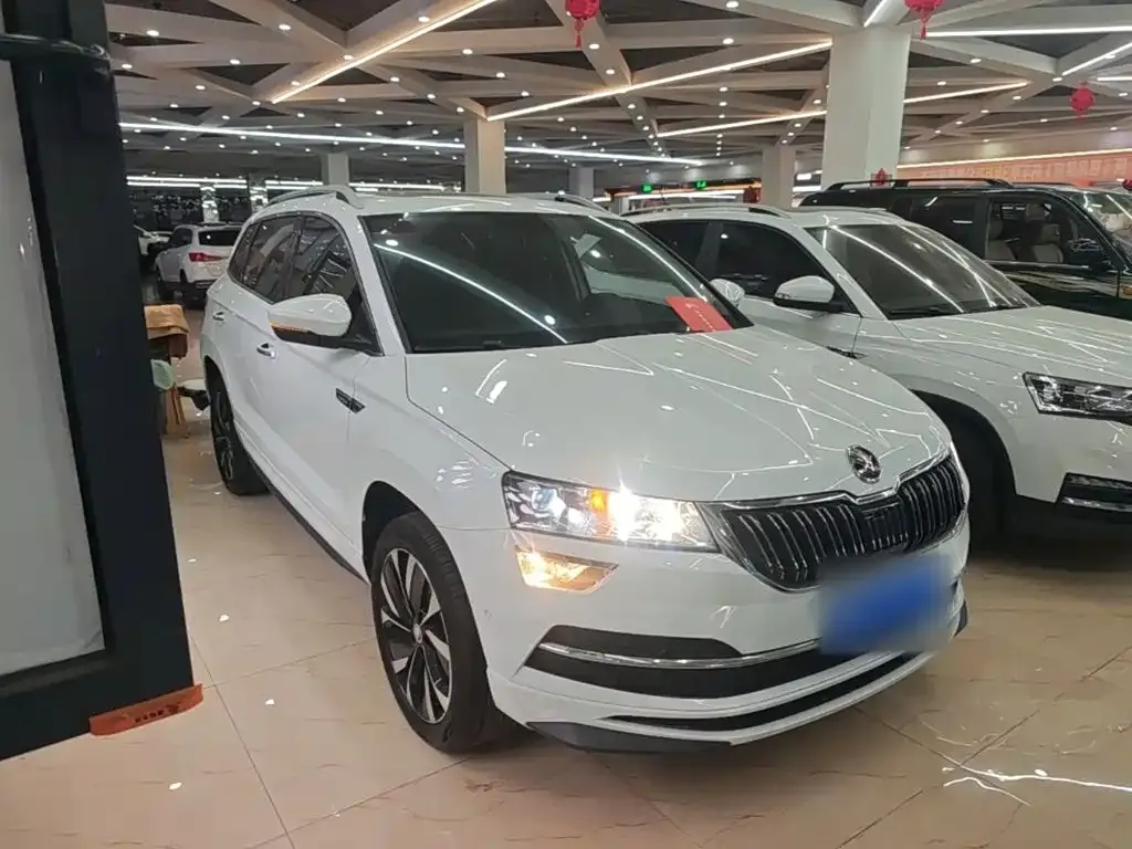 Skoda Karoq — фото 6