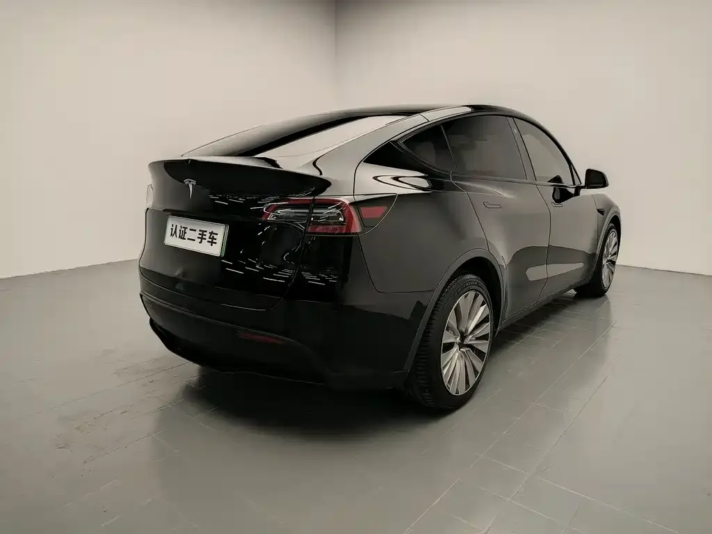 Tesla Model Y — фото 10