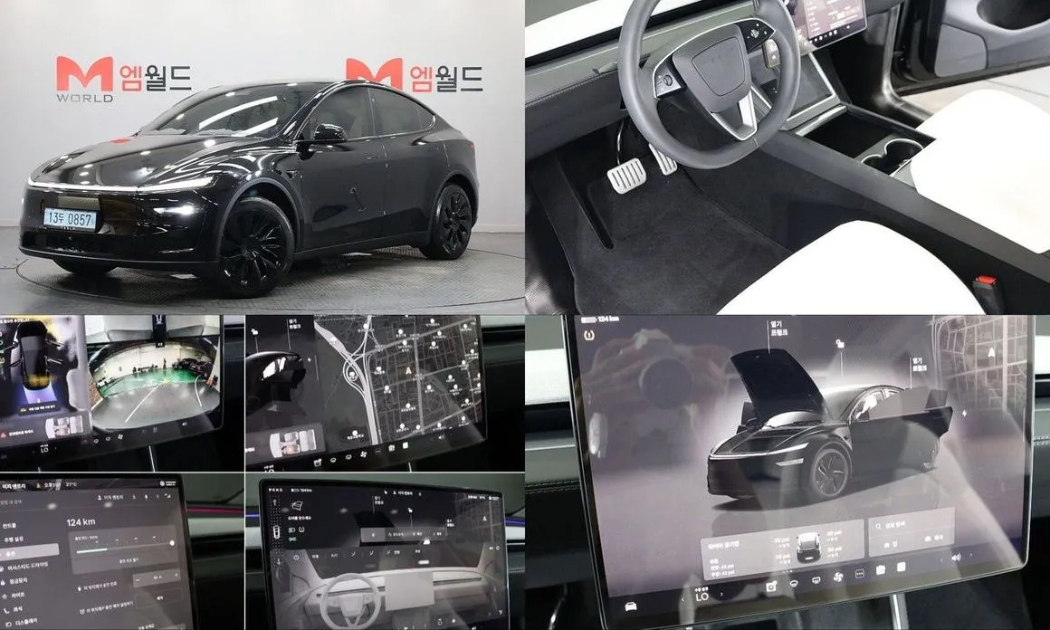 Tesla Model Y — фото 1