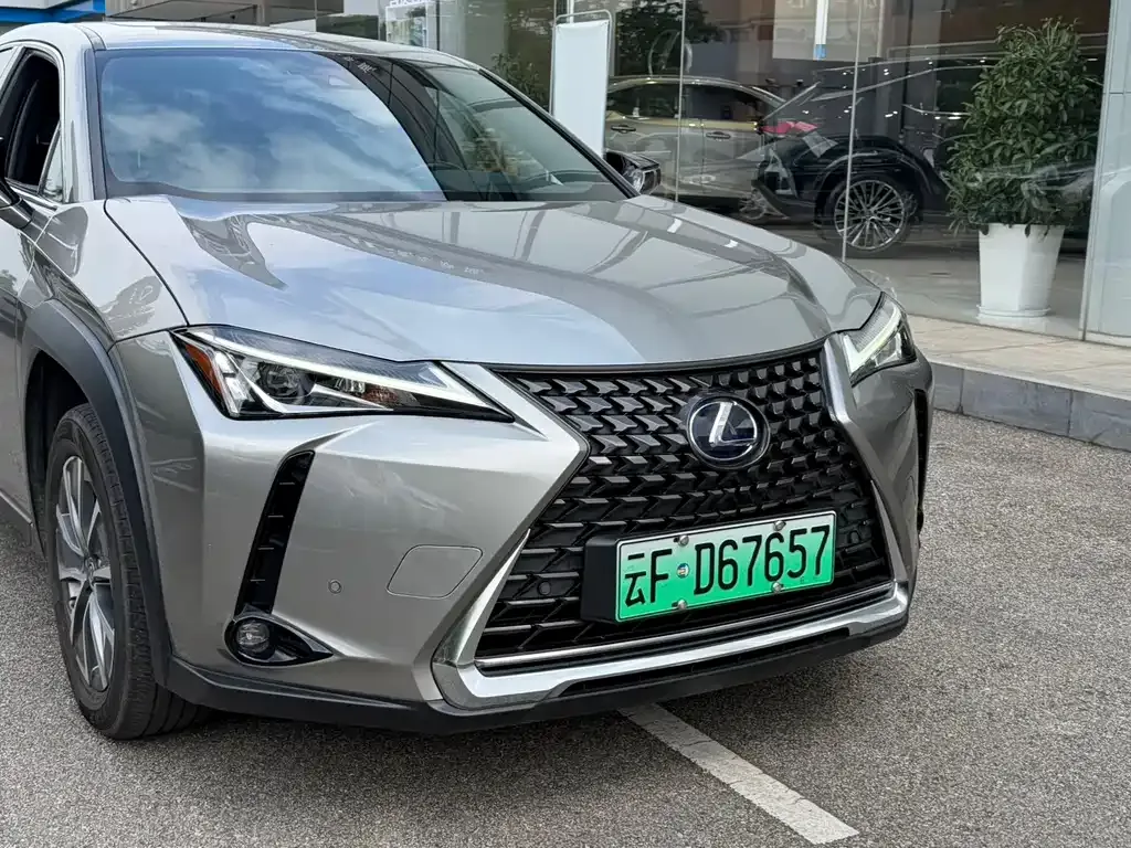 Lexus UX New Energy — фото 6