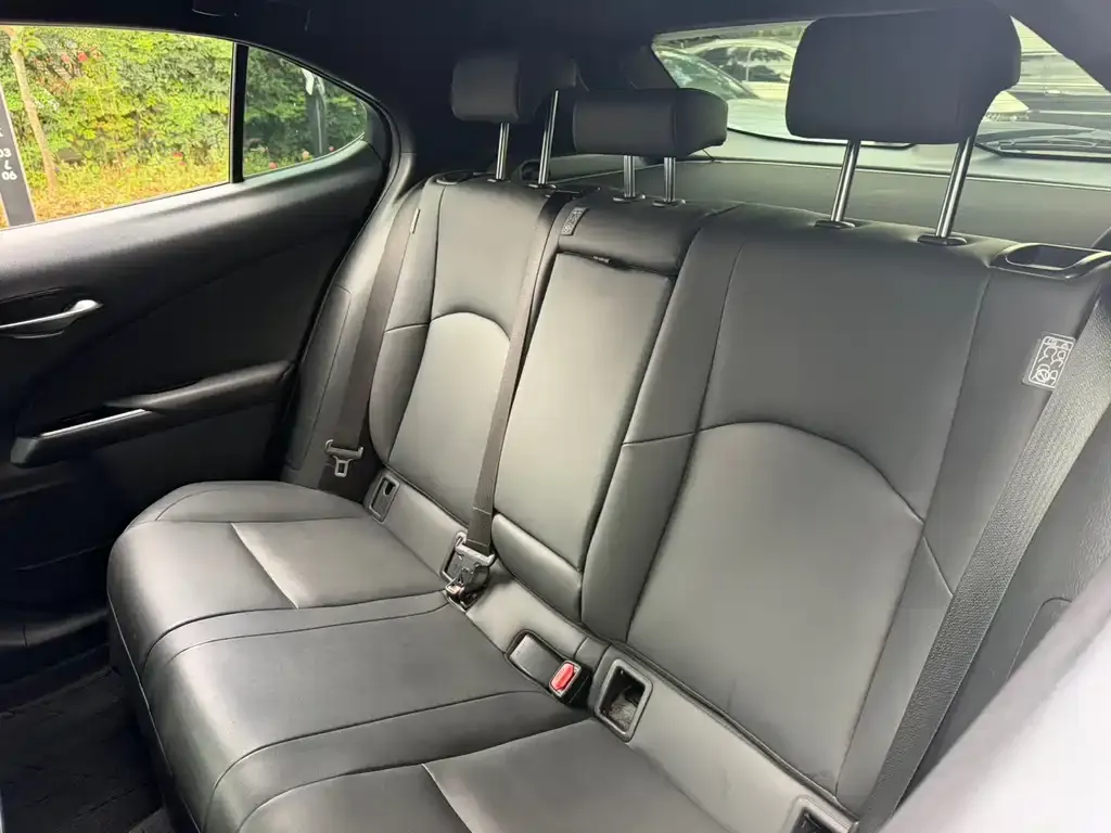 Lexus UX New Energy — фото 2