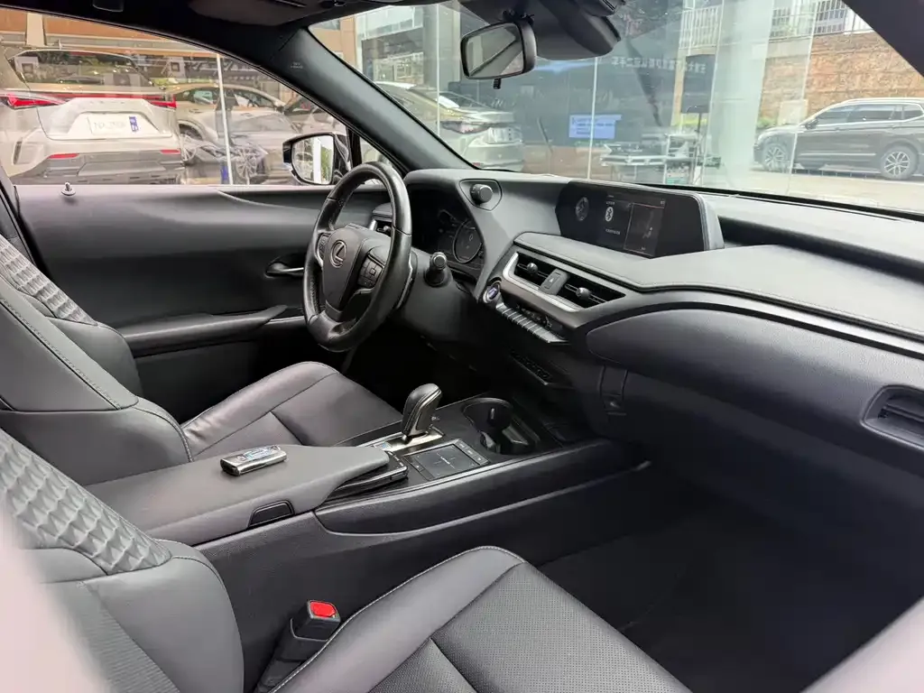 Lexus UX New Energy — фото 8
