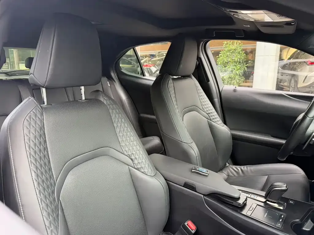 Lexus UX New Energy — фото 7
