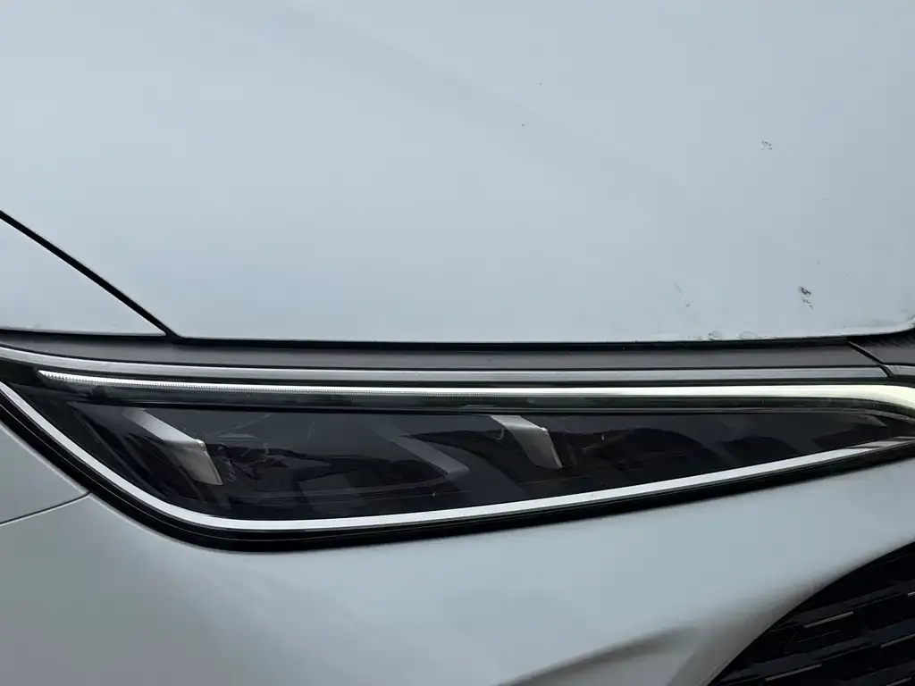 BYD L DM-i — фото 2