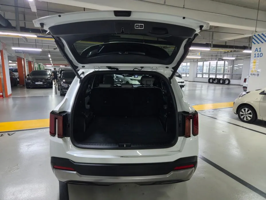 Kia Sorento — фото 10