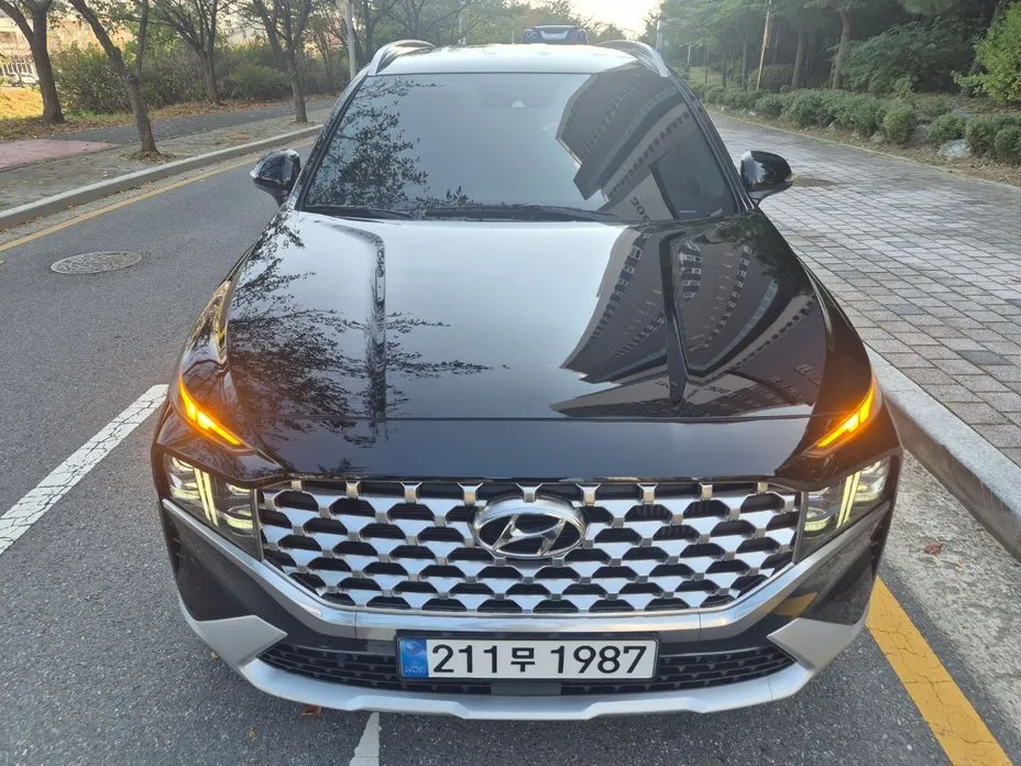 Hyundai Santafe — фото 10