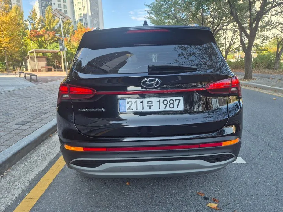 Hyundai Santafe — фото 4