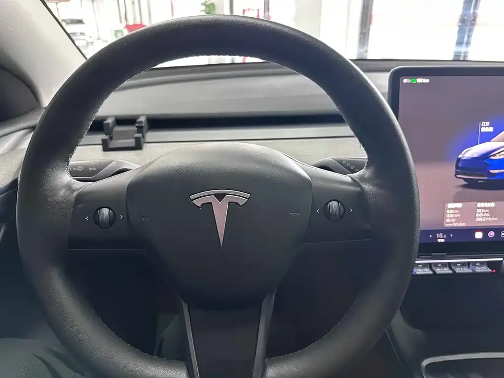Tesla Model Y — фото 9