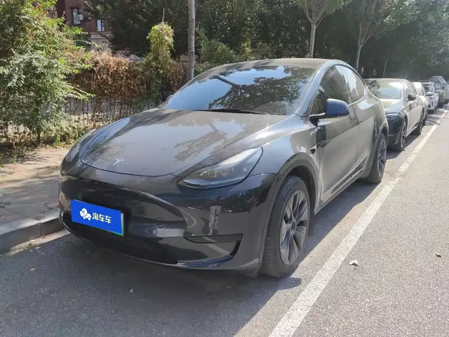 Tesla Model Y — фото 1