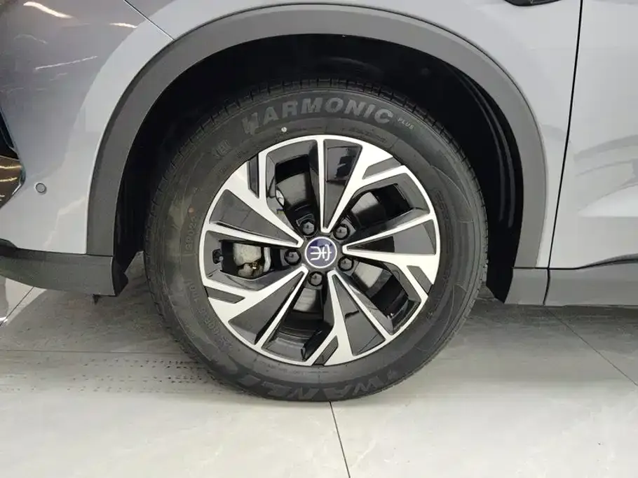 BYD Pro New Energy — фото 4