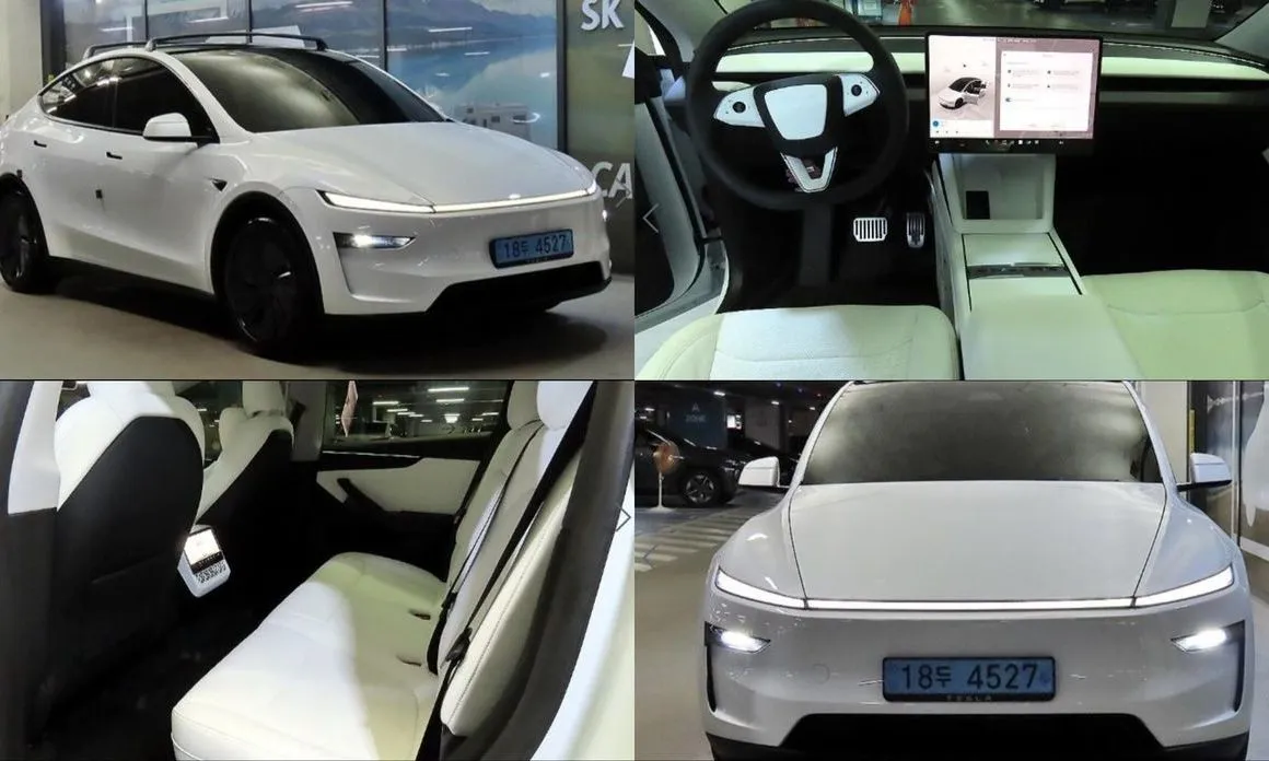 Tesla Model Y — фото 1