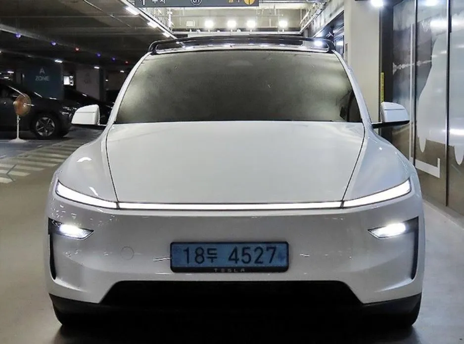 Tesla Model Y — фото 2