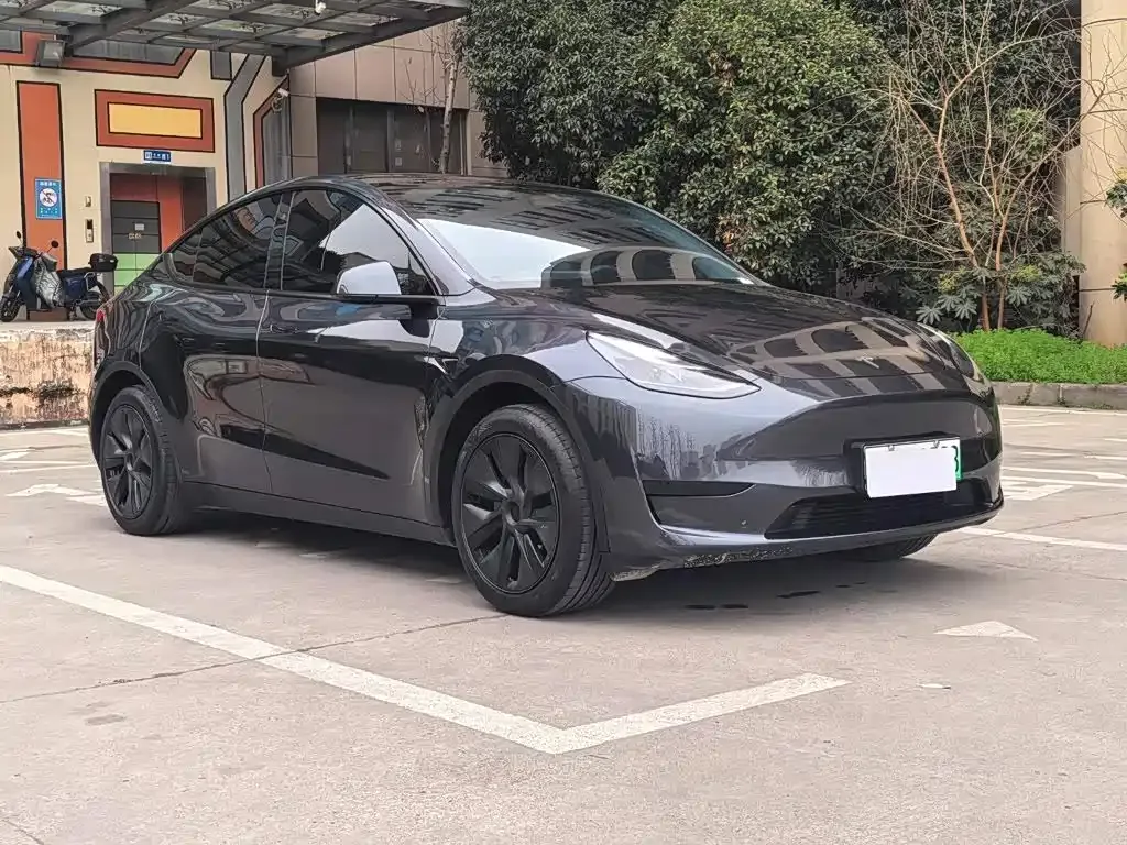 Tesla Model Y — фото 10