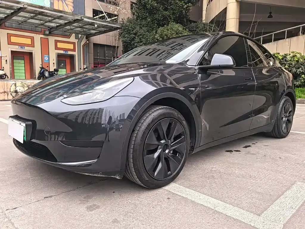 Tesla Model Y — фото 2