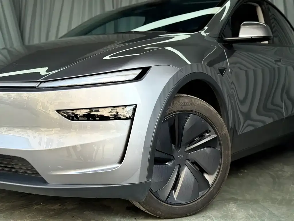 Tesla Model Y — фото 5