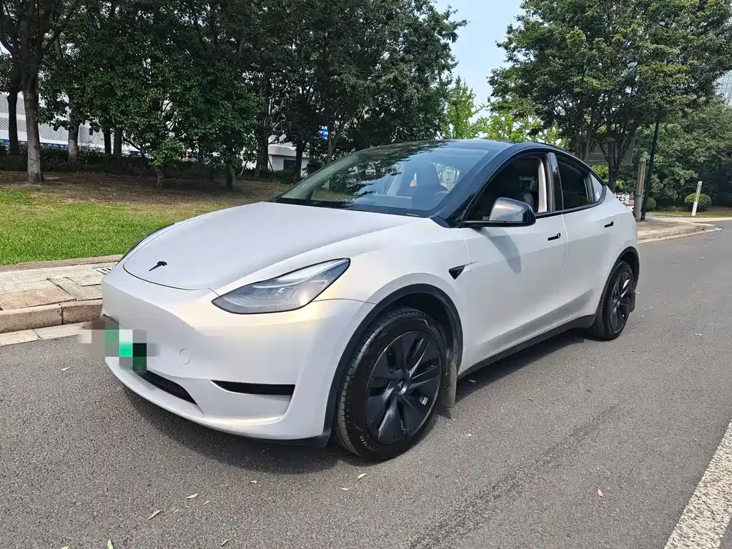 Tesla Model Y — фото 1