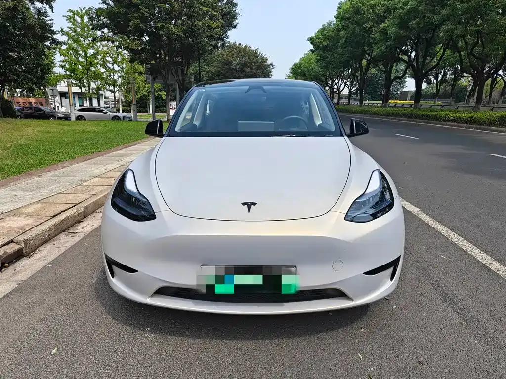 Tesla Model Y — фото 9