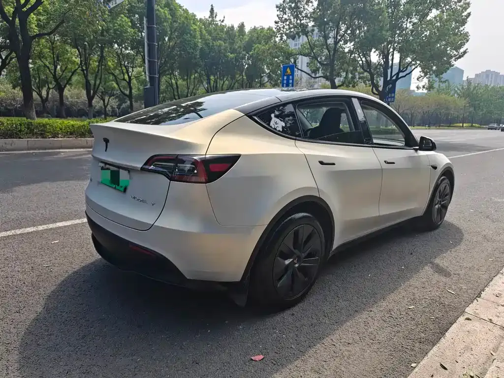 Tesla Model Y — фото 7