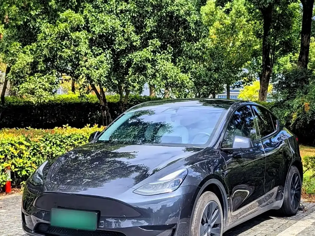 Tesla Model Y — фото 1