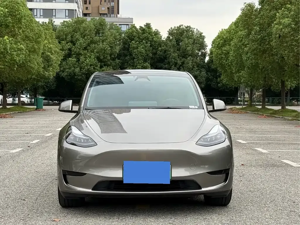 Tesla Model Y — фото 6