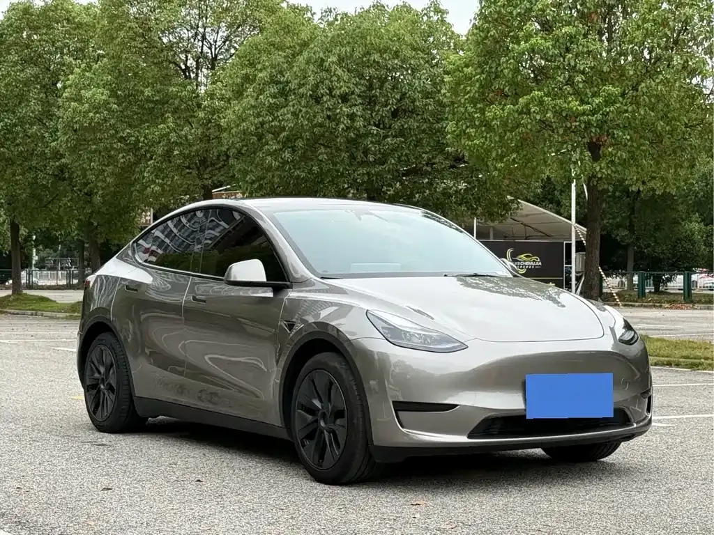Tesla Model Y — фото 8