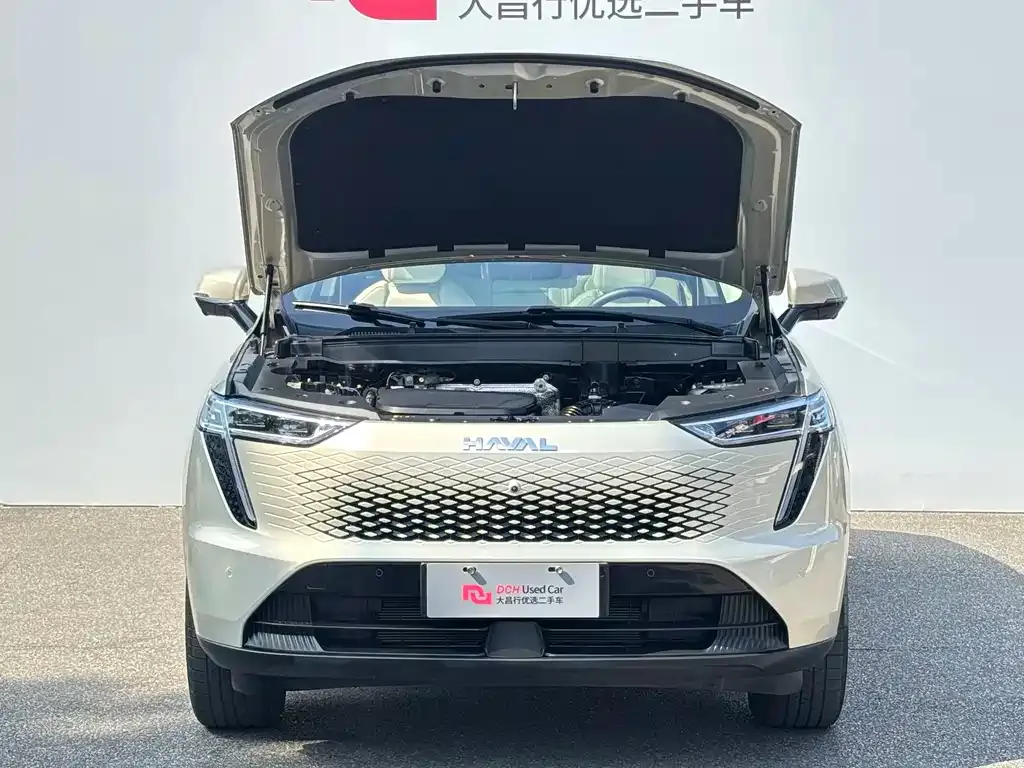 Haval Xiaolong MAX — фото 10