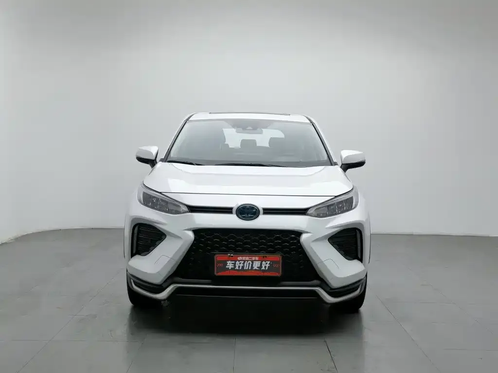 Toyota Wildlander New Energy — фото 2