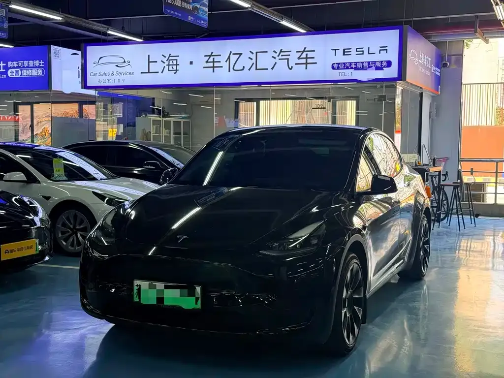 Tesla Model Y — фото 1