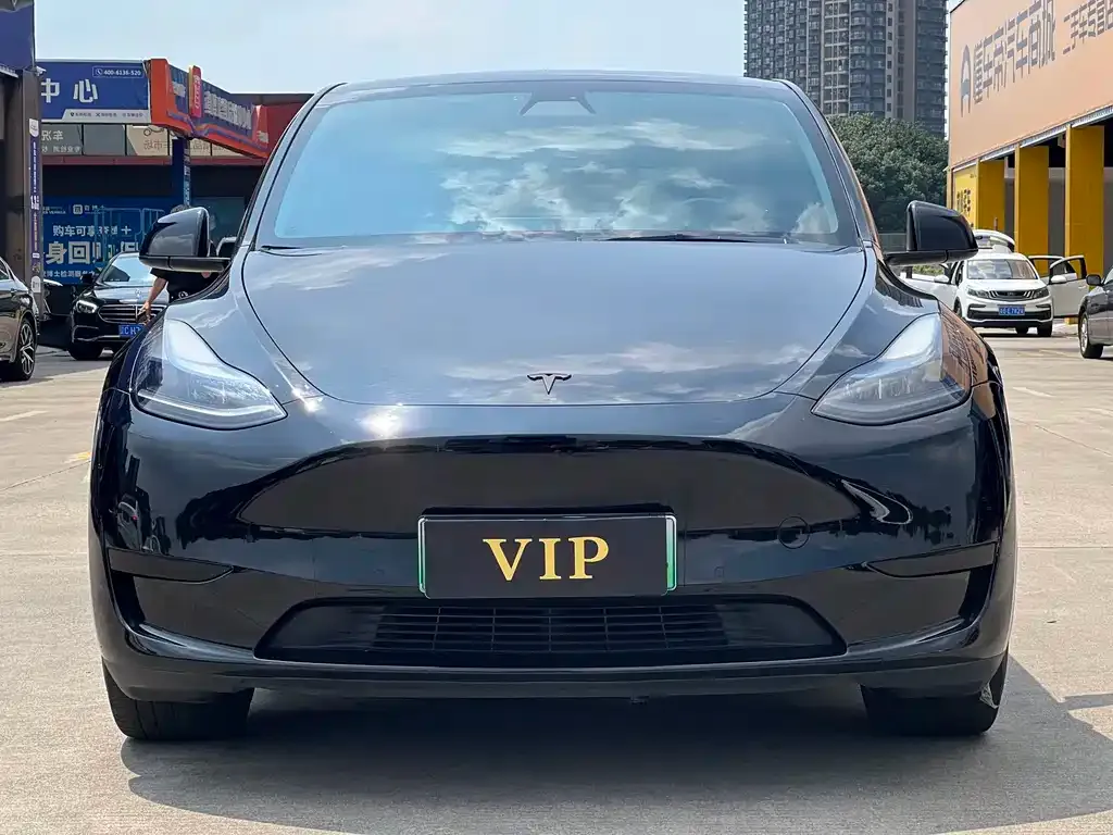 Tesla Model Y — фото 10