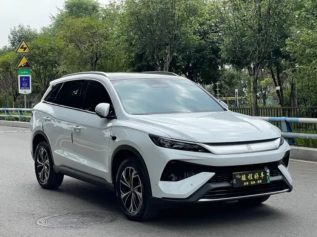 BYD Pro New Energy — фото 8