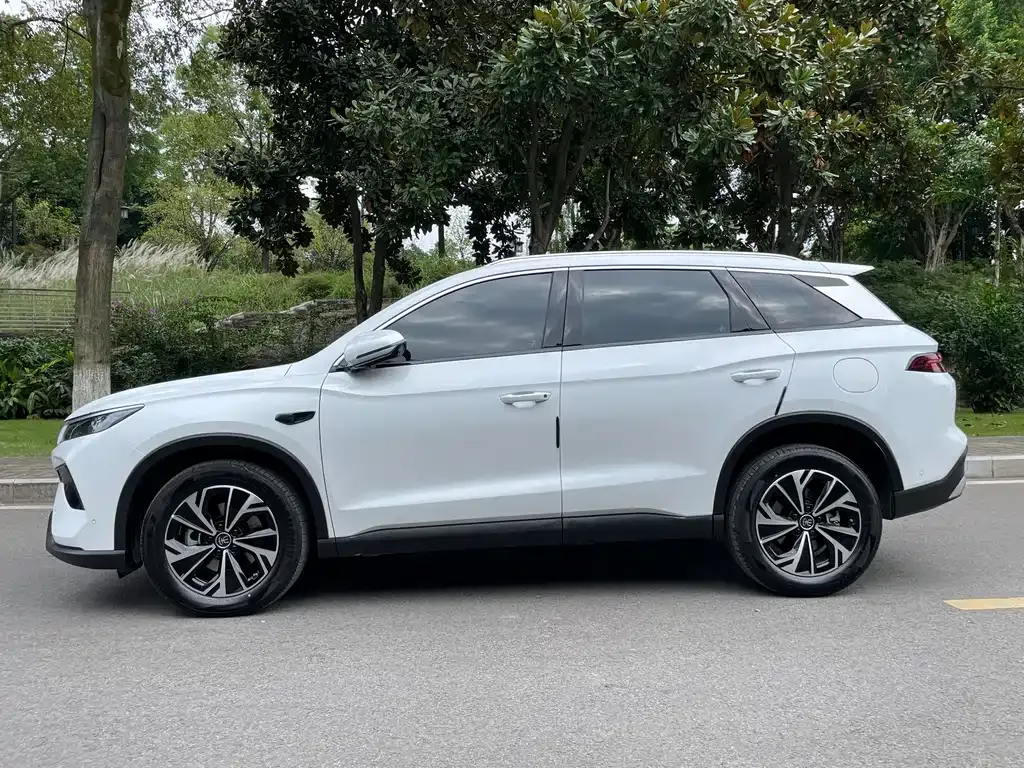 BYD Pro New Energy — фото 10