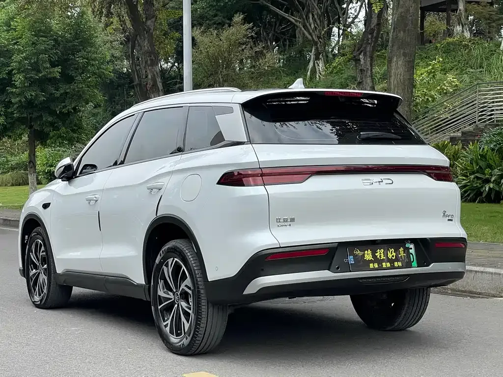 BYD Pro New Energy — фото 9