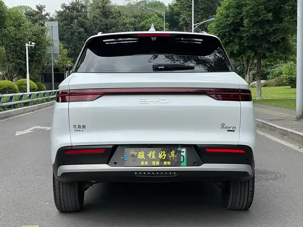 BYD Pro New Energy — фото 3