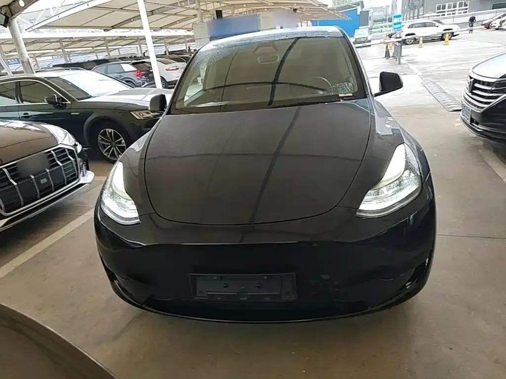 Tesla Model Y — фото 2