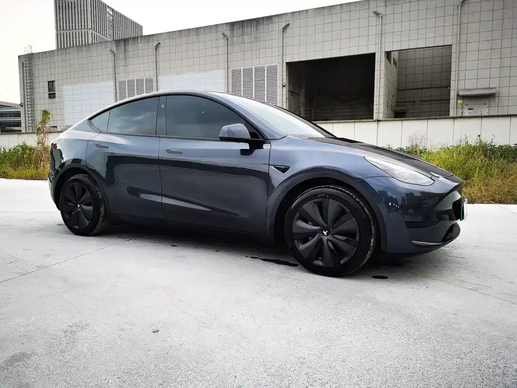 Tesla Model Y — фото 4