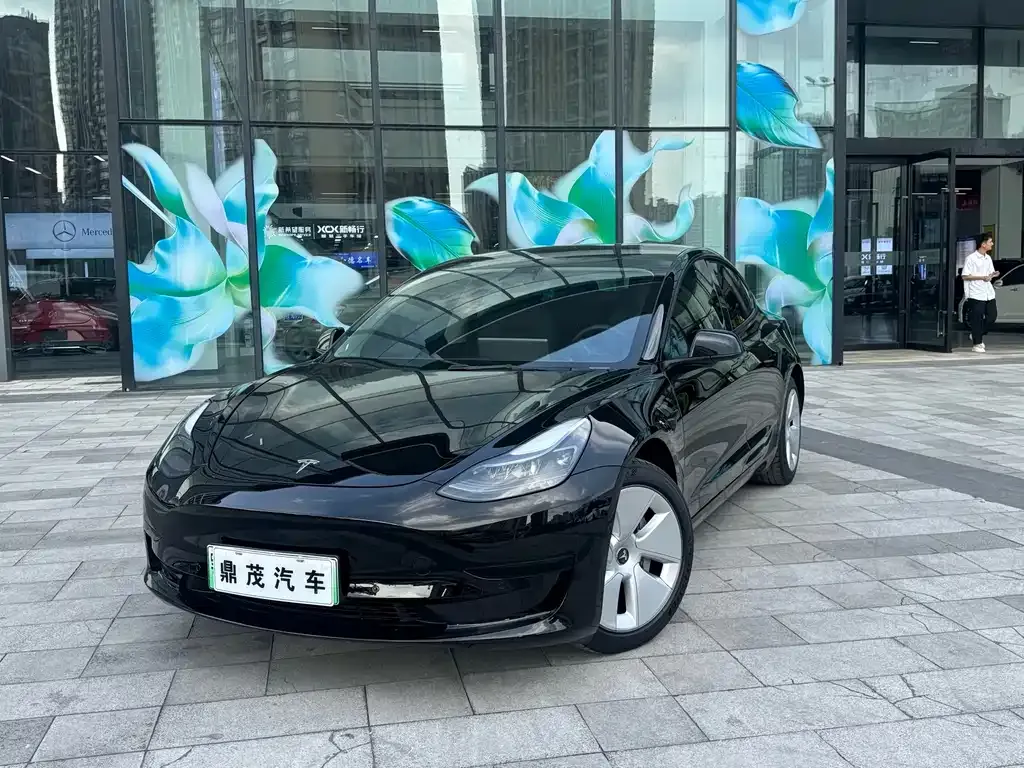 Tesla Model 3 — фото 1