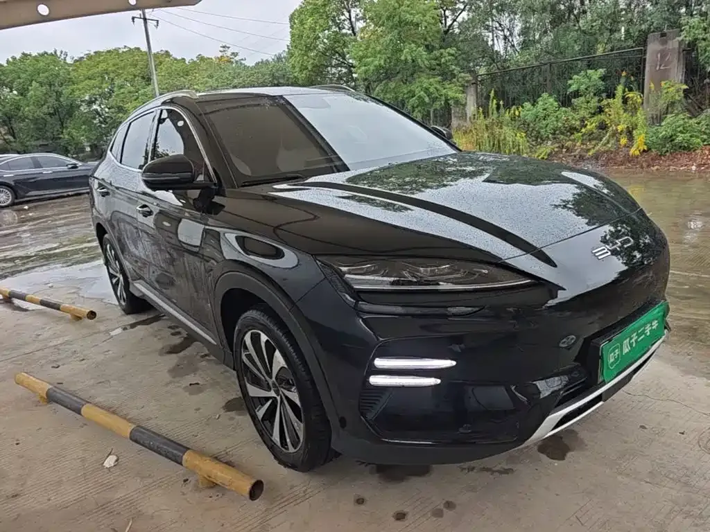 BYD PLUS New Energy — фото 8