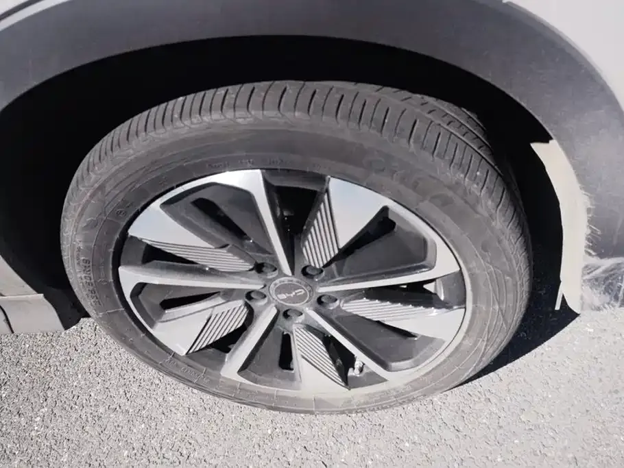 BYD PLUS New Energy — фото 10