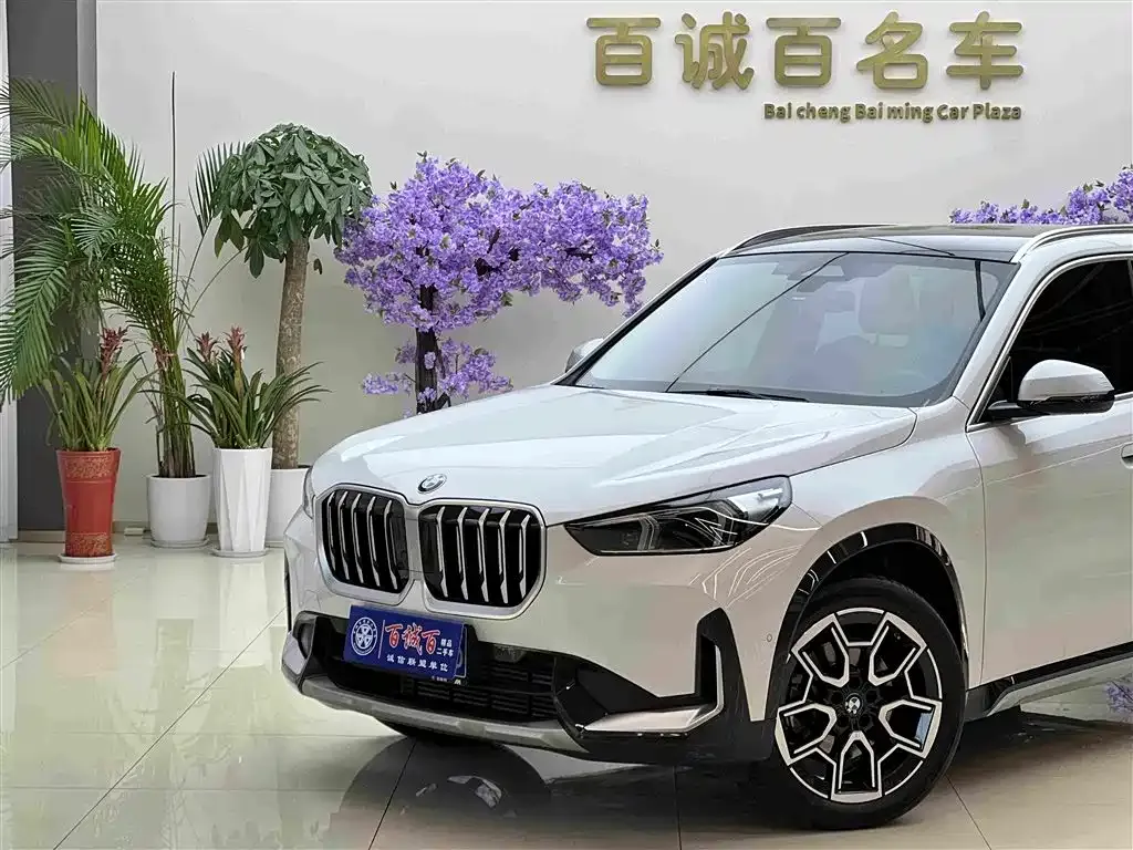 BMW X1 — фото 2