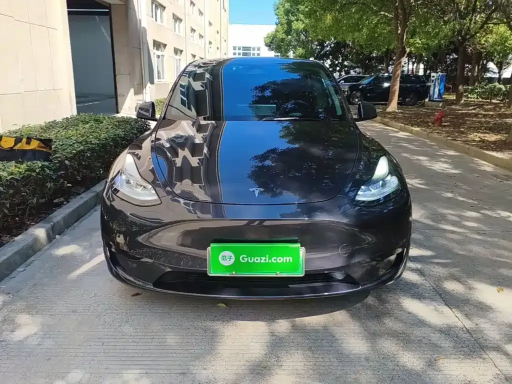 Tesla Model Y — фото 2