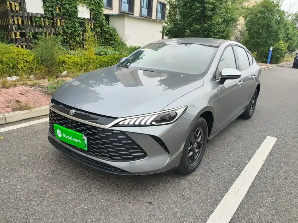 BYD Qin PLUS — фото 1
